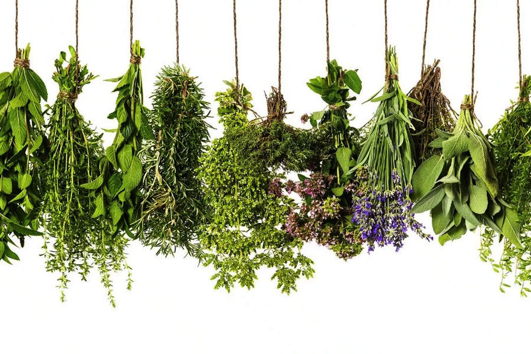 izvleček tropskih zelišč v Eroboostu