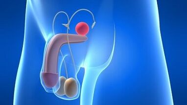 Mazanje pri moških med navdušenjem, kaj je