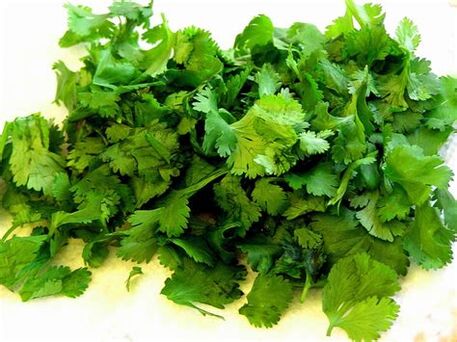 Cilantro vsebuje vitamine A, B in C, ki so koristni za moško moč.